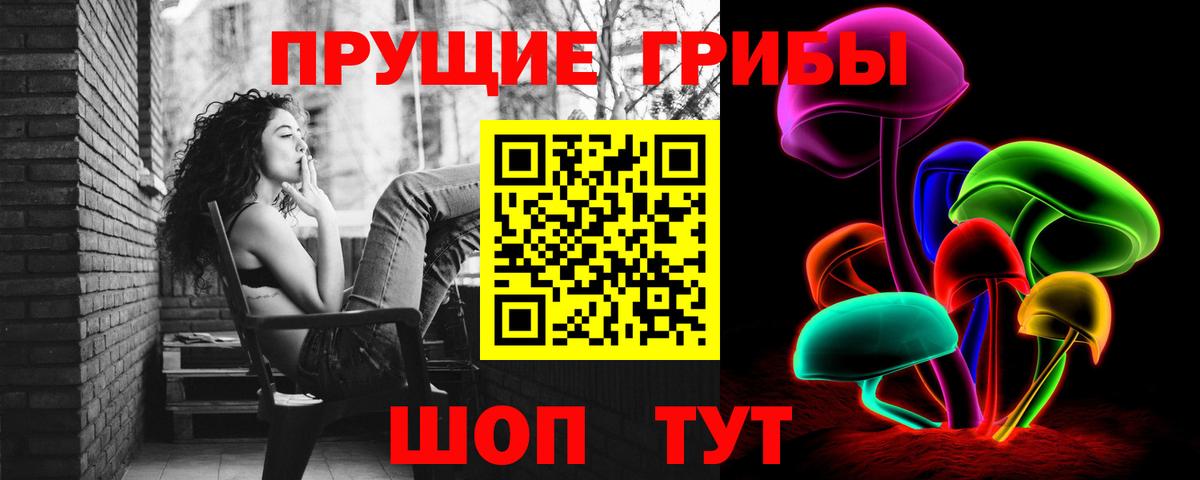 Галлюциногенные грибы мицелий  Галлюциногенные грибы Psilocybine cubensis  Нижний Тагил  Вход с VPN 